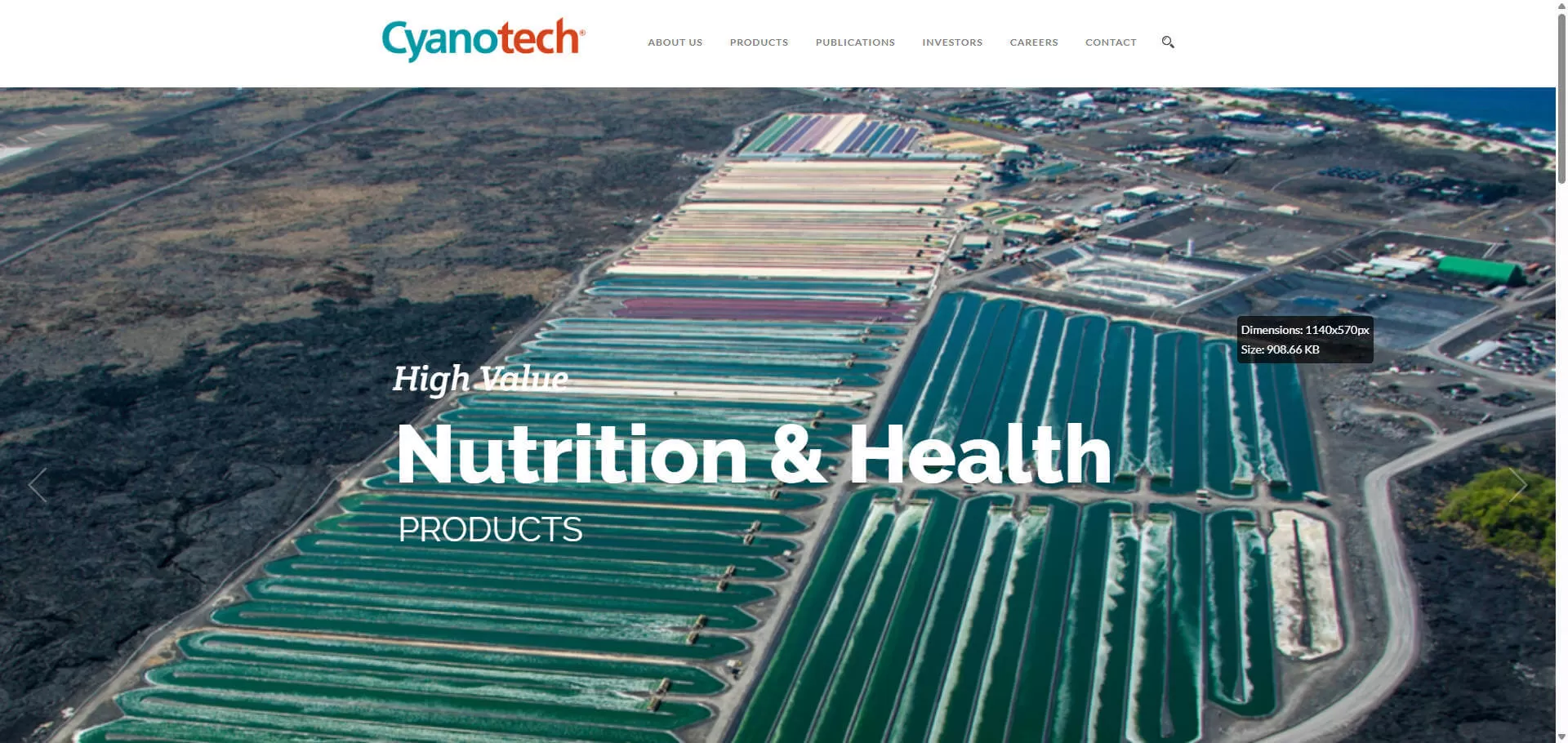 Cyanotech Corporation